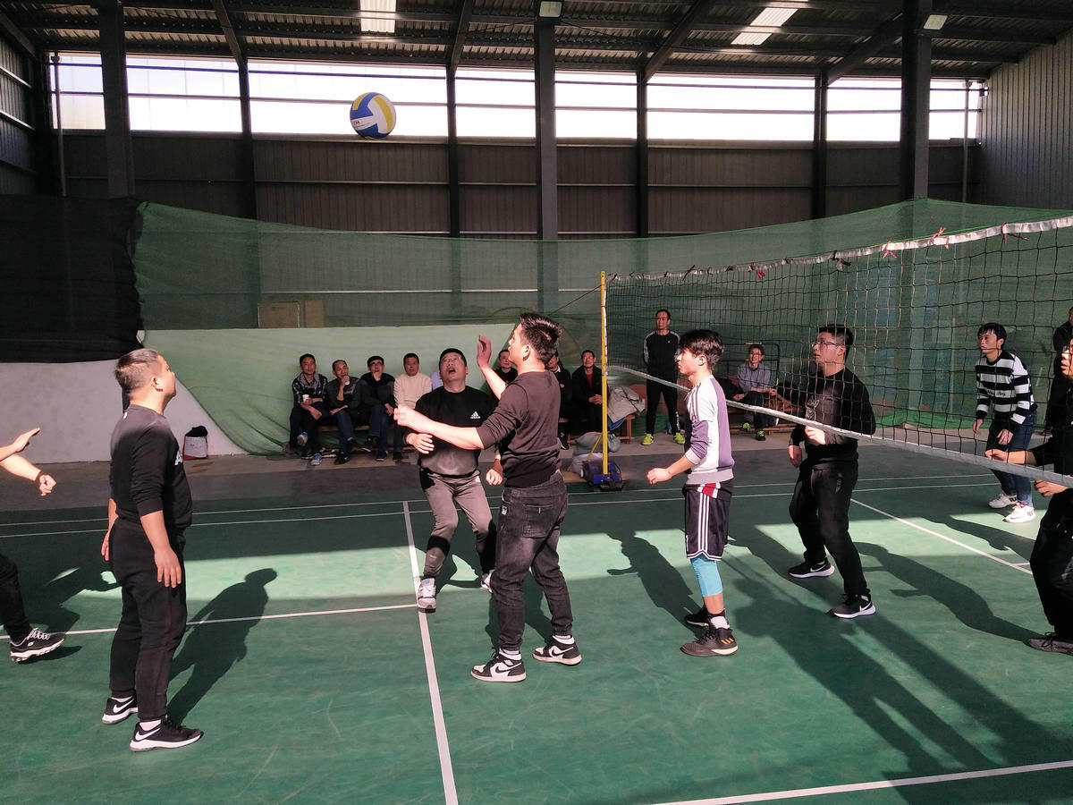 Company staff gas volleyball match